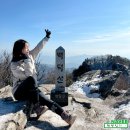 고단1리 | 평창 영월 백덕산 등산코스 최단코스 (운교리 마을회관~정상)