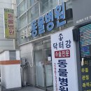 닥터강동물병원 | 울산 중구 우정동 '닥터강동물병원' 진료 잘받고 온 후기 :-)