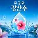 농업회사법인 산수축산 주식회사 | #Kfood #Kculture #친환경압화명인 #무궁 #무궁화체험 #영웅교수법 #무궁화강산수 #윤원_오선덕