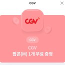 CGV 팝콘 m사이즈 이미지