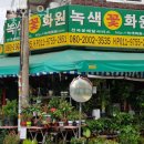 녹색꽃화원 이미지