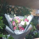 봄동산꽃화원 이미지