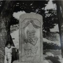 유자향기2 이미지