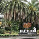 효돈로,일주동로 | 올해 마지막 제주도는 루정책이다🌴