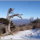 백우주유소 이미지