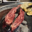 공간양