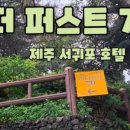 서문로 29번길 네이버블로그