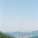 한티1477 이미지