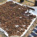 홍동농장2 이미지