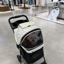 스톤헨지광명점