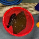 영흥상회 이미지