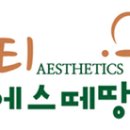 뷰티 에스떼땅