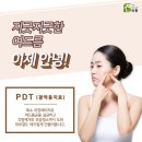 견의원 이미지