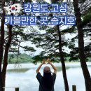 교암바다민박 | 강원도 고성 여행 가볼만한 곳 송지호 둘레길