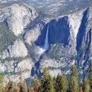 요세미티 국립공원(Yosemite National Park) 이미지