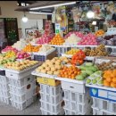 시스케이프 이미지