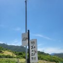 청도 하이디 103호 후기｜청도 애견동반 감성 독채펜션, 진짜 힐링됨✨