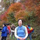 계족산 황톳길 이미지