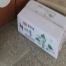 (6/19반)후딱 한 그릇, 건강집밥 레시피 | [내돈내산] 전라도 취나물이 더 맛있는 이유! 취나물 4kg 후기 + 효능 + 보관법 + 봄 레시피 총정리