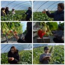 가남정보화마을 이미지