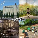 실내전시부터 야외정원, 카페까지 완벽! 제주신상 테마파크 《돌코리숲》 후기