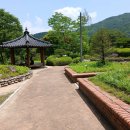 양천초등학교 이미지