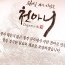 천마자연식품 이미지