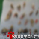 스테이동물병원 이미지