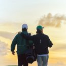 더 골든베어 이미지