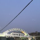 양재꽃시장 루루플라워 선물용 꽃다발 후기