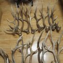 야산목장 이미지