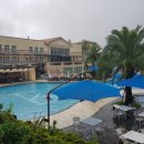 토스카나호텔 수영장 이미지