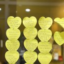 신한메디칼(주) | 은평구피부관리 / 은평구 피부관리실 솔에스테틱 은평직영점