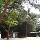30년 만에 속살 드러낸 ‘비밀의 숲’, ‘서울대공원 산림치유숲’ 체험기 이미지