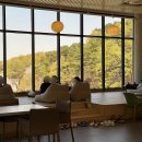 준우농산물 | 평택 대형 베이커리 카페 프리퍼 주말 방문 후기