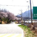 용암사입구 이미지