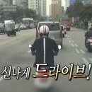 거제도 | 거제도 여행 후기 / 젬스톤 / 외도 / 정글돔 🚗💨