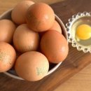 흘미농장 이미지