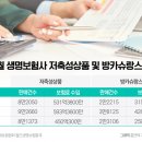 방카 이미지