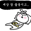 마더짱