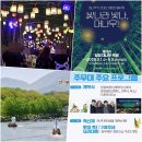 명장체육관 | 전남 담양가볼만한곳 대나무축제 초청가수 기본정보 주차장 셔틀버스 여행