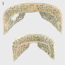 Royal Saddle Equestrian Society | [동아시아역사 바로보기] 백제 사람들이 전개한 일본열도의 후기 고분시대