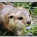 수달횟집 이미지