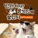 마이브라운 | 마이브라운 가입 후기, 병원가자 용기있게!