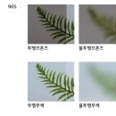 건일인테리어 이미지