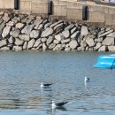 아라메길 (삼길나루길-등산로) 이미지