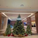 GS25정릉대우 | 강원도 5성급 숙소 카시아 속초 디럭스 트윈 오션뷰 2박 3일 숙박 조식 후기