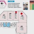 셀럽시티 이미지