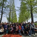 은혜수퍼 | 산광교회 아산 피나클랜드 봄꽃축제 관광 후기