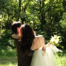 드리우다 | 제주 웨딩스냅 드리우다 후기 (with 포아모르)